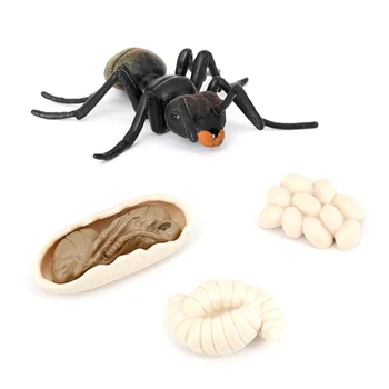 Имитация на мравка Жизнен цикъл на животните Цикъл на растеж на насекоми Модел на живот Фигурки Забавни детски играчки Черни мравки