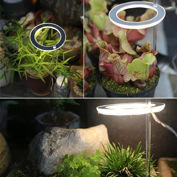 Led Лампа за отглеждане на Пълна гама, Фито-Лампа за отглеждане на USB Angel Ring Лампа за Сукуленти, Отглеждане на цветя растения (Слънчева светлина)